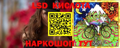 прущие грибы Балахна