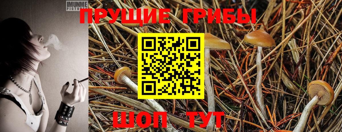 Волжский  купить наркотики сайты  Галлюциногенные грибы мухоморы  Вход с VPN  Псилоцибиновые грибы Magic Shrooms 